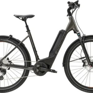 Vélo électrique DIAMANT 138 Wave 800Wh