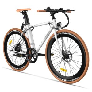 Vélo de route électrique Fafrees F1 250 W 700 x 38 C pouces 36 V 10 Ah